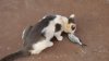 DSC07724.jpg