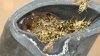 DSC07775.jpg