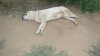 DSC07796.jpg