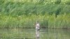 DSC07849.jpg