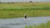 DSC07850.jpg
