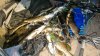 DSC07859.jpg