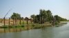 DSC07869.jpg