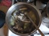 DSC04466.JPG