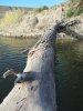 DSCN1129_новый размер.jpg