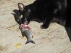 DSCN1143_новый размер.jpg