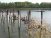 DSCN2614.JPG