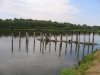 IMG_0003_1.jpg