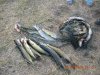 DSCN0753.JPG