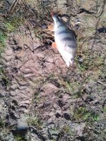 IMG_20260404_110127.jpg
