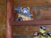 DSCN3831.JPG