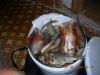 DSCN4023.JPG