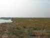 DSCN3912.JPG