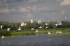 IMG_7475.jpg