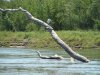 DSC01595.JPG