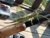 DSC01634.JPG
