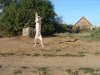 DSC01745.JPG