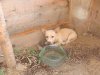 DSC01755.JPG