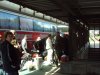DSC00371.jpg