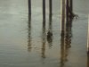 DSC00460.jpg