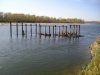 P1010044.JPG