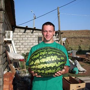 На базе ПЩВ