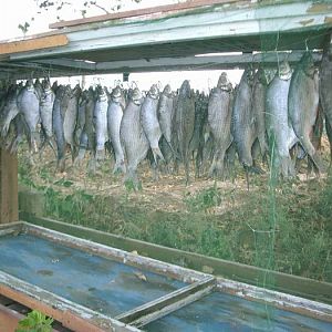 На базе ПЩВ 2006г