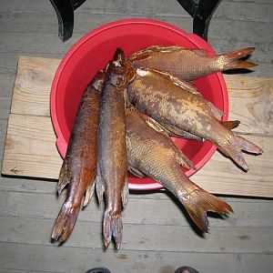 На базе ПЩВ 2006г