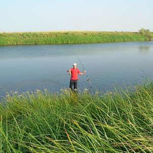 В пойме 2006г