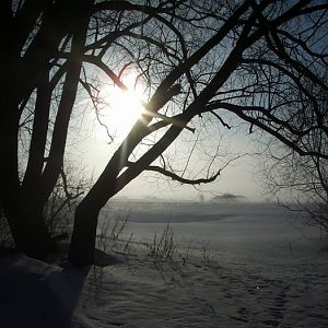 р.Гжать март 2006г