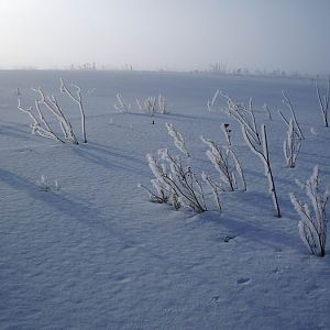 р.Гжать март 2006г