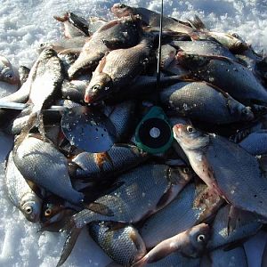 р.Гжать март 2006г