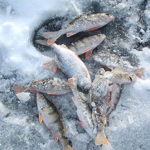 г.Старая Купавна, Песчаный карьер, зима 2006г