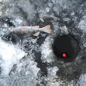 г.Старая Купавна, Песчаный карьер, зима 2006г