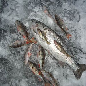 г.Старая Купавна, Песчаный карьер, зима 2006г