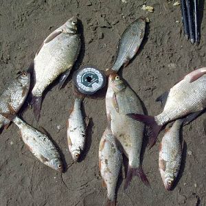 Купавна,Песчаный карьер,2007г