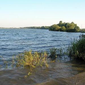 Купавна,Песчаный карьер,2007г