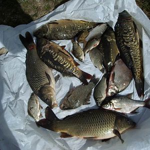 Купавна,Песчаный карьер,2007г