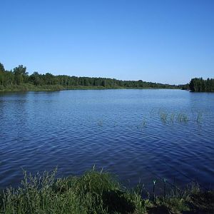 Федоровский залив,лето 2007г