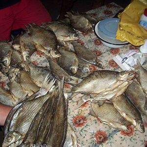 Ахтуба август 2005г