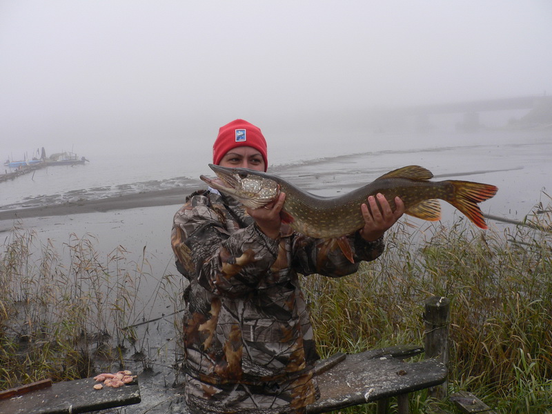Архангельская область