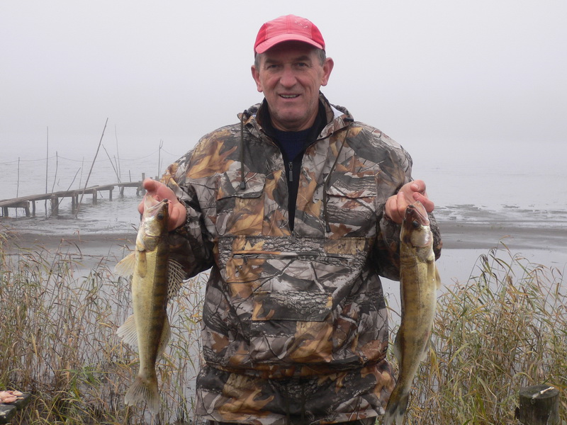 Архангельская область