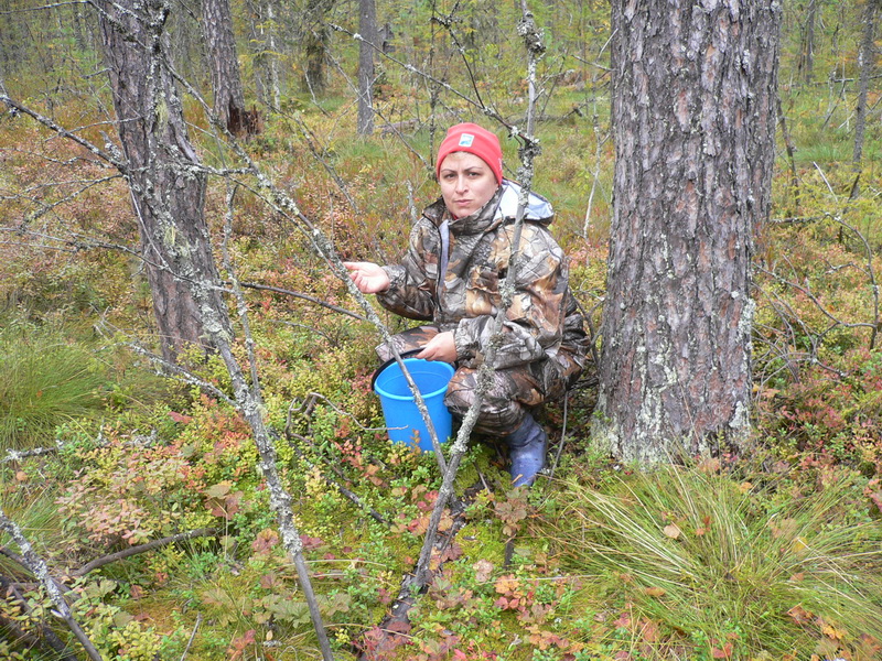 Архангельская область
