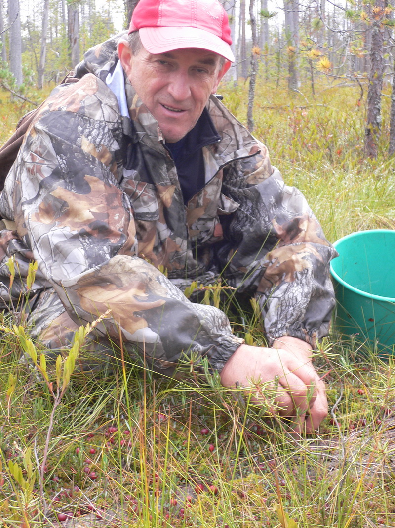 Архангельская область