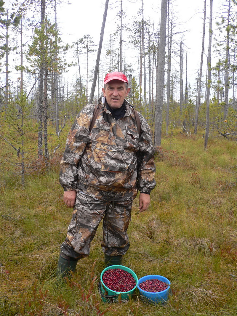 Архангельская область