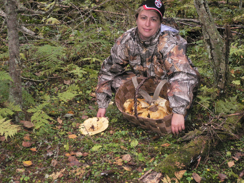 Архангельская область