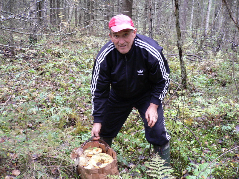 Архангельская область