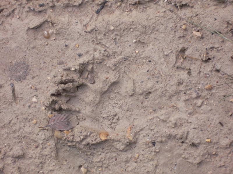 Архангельская область