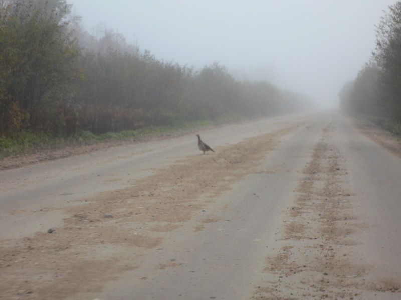 Архангельская область