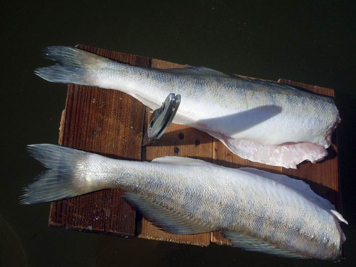 Ахтуба август 2005г